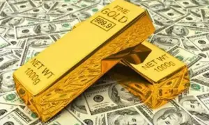 Київська чиновниця отримала підозру через закупівлю техніки для кабінетів фізики