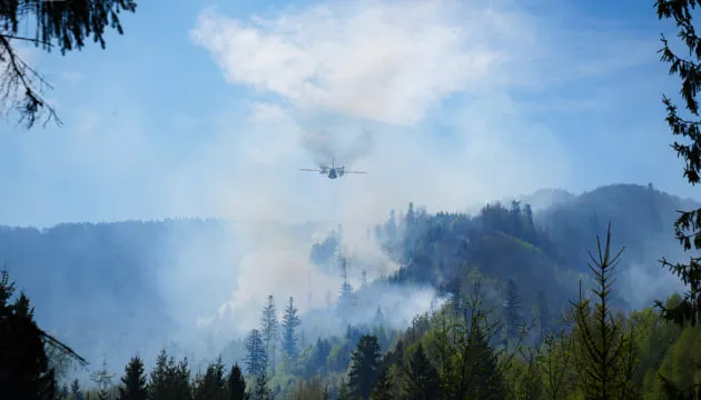 На Закарпатті перевіряють версію підпалу лісу на замовлення РФ