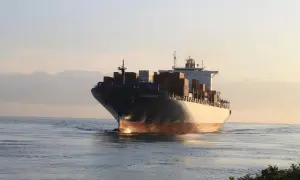 Українські полярники зняли на відео зустріч із морським леопардом
