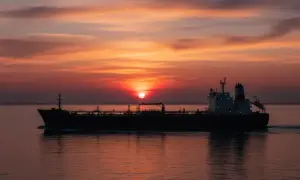 Вперше у світі клонована тхориця народила дитинчат