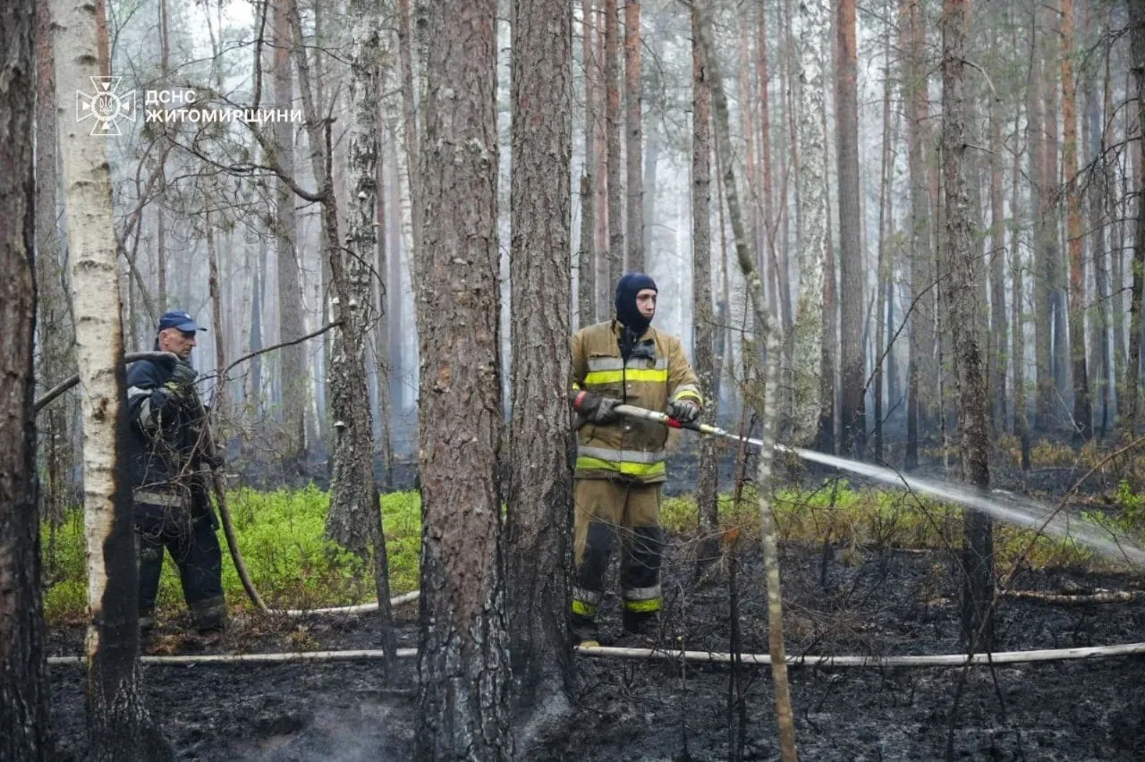 A large-scale forest fire covering 250 hectares is being extinguished in the Polissya Nature Reserve