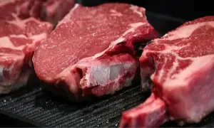 Нидерландская компания «Яндекс» выплатит 100 млн евро за передачу личных данных в РФ