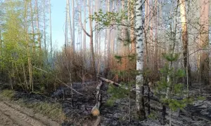 A member of the Kryvyi Rih City Council let her 11-year-old daughter drive