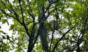 АТО: вогонь не припиняється, п'ятеро бійців ВСУ загинули