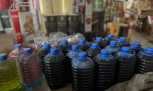 У Києві знайшли кліщів з хворобою Лайма
