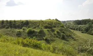 Пес Патрон став героєм мультсеріалу: про що йдеться у першій серії