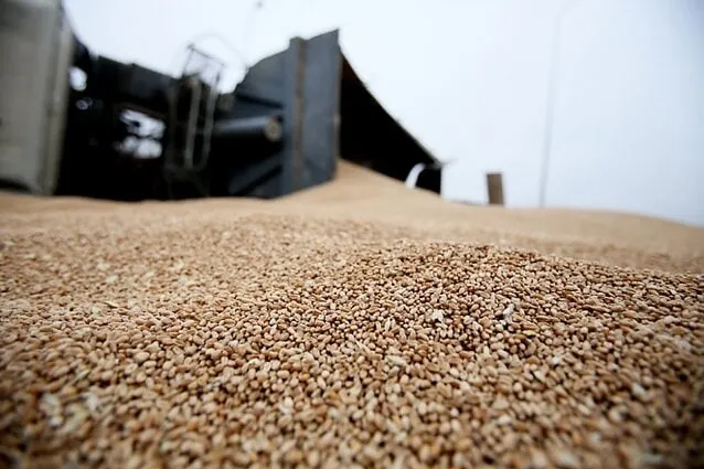 A court has convicted an LPR minister in absentia for exporting Ukrainian grain to Russia