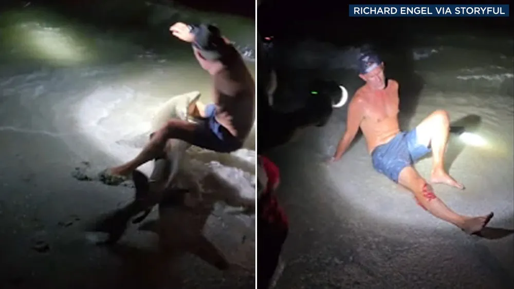 In Texas, a shark bit a teenager while he was trying to pull it into a boat