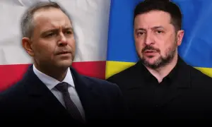 Виконавча служба змусила kp.ua прибрати фейковий матеріал про Альону Шевцову