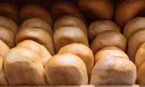 На Волині працівника ТЦК підозрюють у вимаганні грошей за уникнення мобілізації