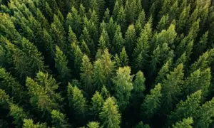 Рада оприлюднила порядок денний позачергового засідання