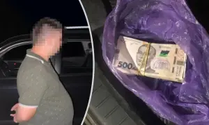 Україна може частково перенести виробництво БПЛА до Литви
