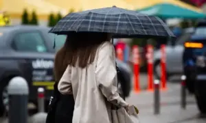 Назвали причину загибелі риби на найбільшому озері в Пущі-Водиці