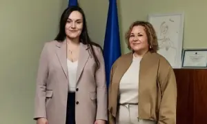Українське подружжя намагалося провезти до Румунії понад мільйон доларів