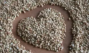 Бессарабський ринок завершують оновлювати - простір перетворюють на гастромаркет