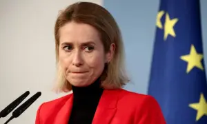Мерц різко відповів ультраправим депутатам у Бундестазі через Україну
