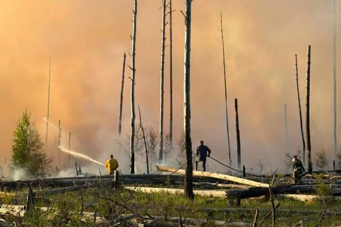 Fires in the Chernobyl Exclusion Zone Are Still Being Extinguished: What Is Known About the Background Radiation Levels