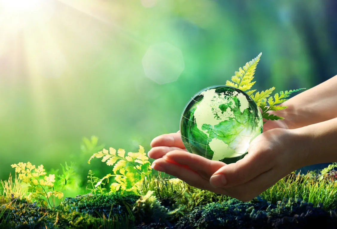Holiday on July 7: Ukraine Celebrates Nature Conservation Workers' Day