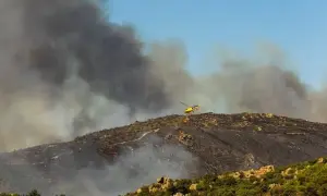 В Китае организовали производство фальсификата под видом COVID-вакцины