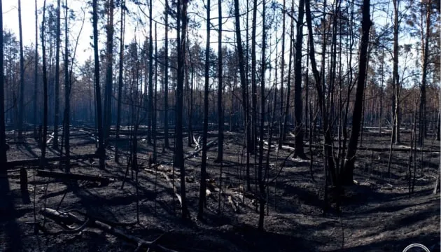 В Чернобыльской зоне локализовали пожары, возникшие после падения российских дронов