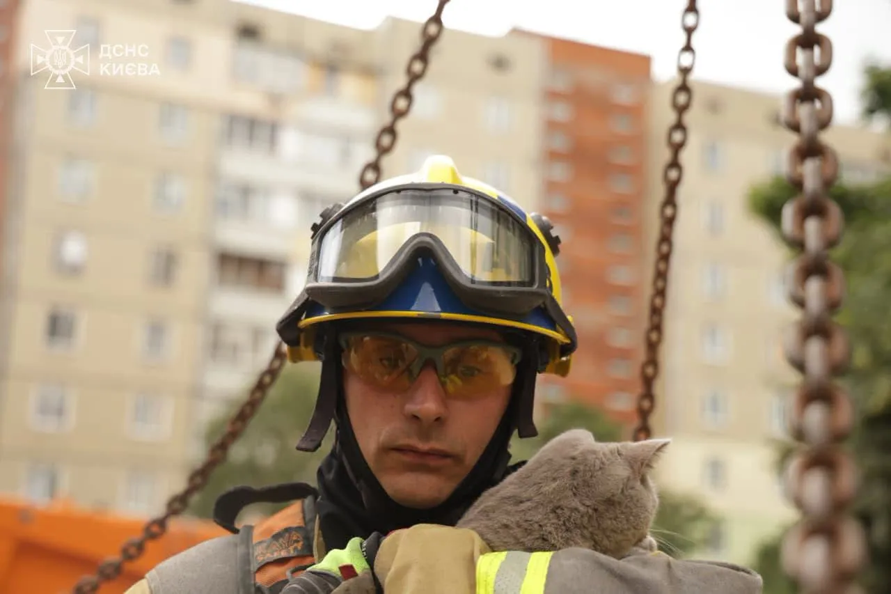 В Киеве спасли кота из поврежденной квартиры после нападения (фото/видео)