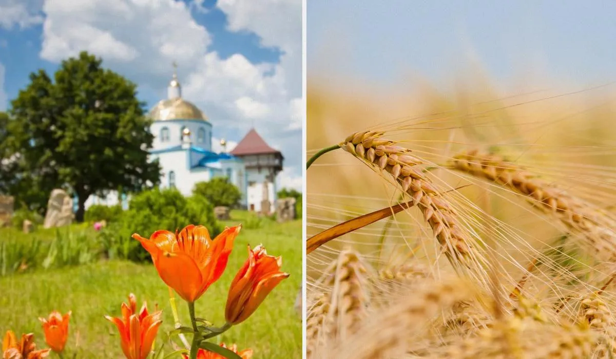 Church Holiday on July 8: The History of St. Prokop's Day and the Main Folk Traditions