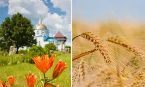 Верховная Рада ввела штрафы за пластиковые пакеты: как будет работать запрет