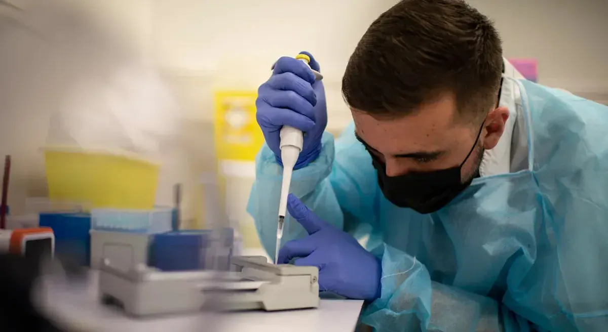 В Австралии впервые обнаружили опасный вирус H5N1 у дикой морской птицы