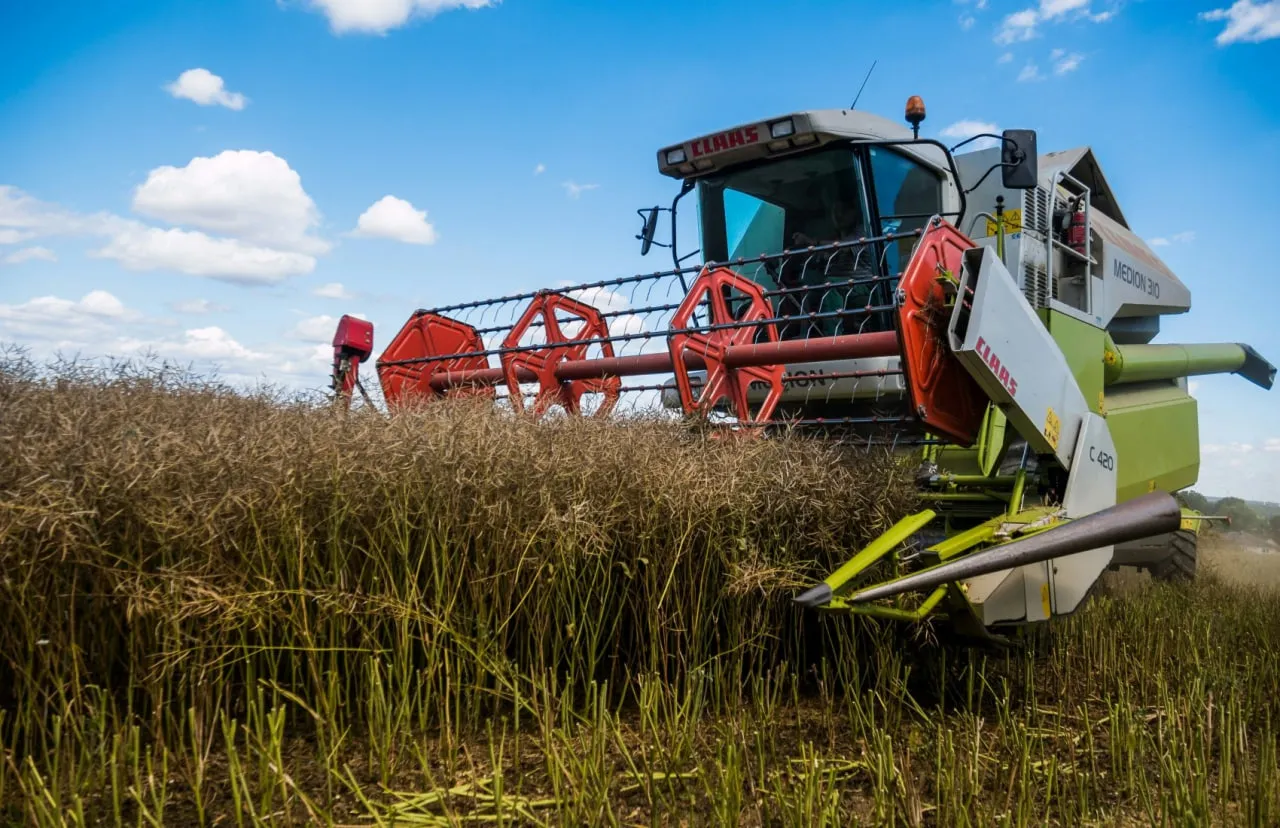 Fuel shortages have hampered the harvest in Russia, putting the crop at risk