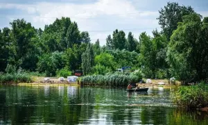 Поліція Києва притягує до відповідальності фанатів швидкої їзди
