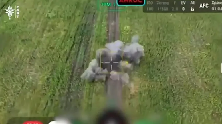 Ukrainian drone operators are thwarting the occupiers' plans in the Southern Slobozhanshchyna sector