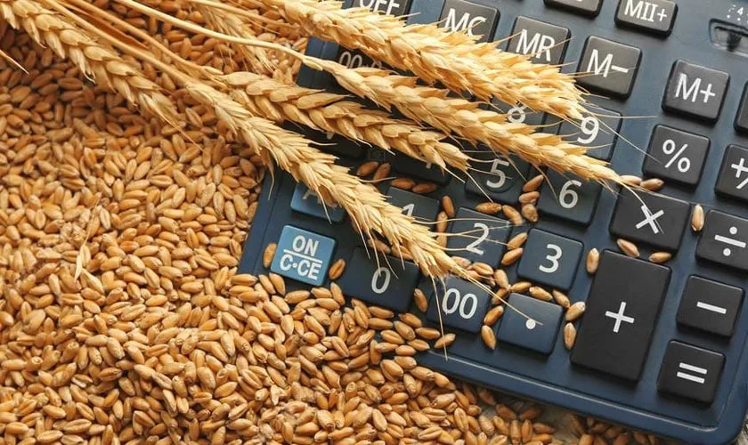 Українські фермери зупинили продаж зерна через обвал закупівельних цін