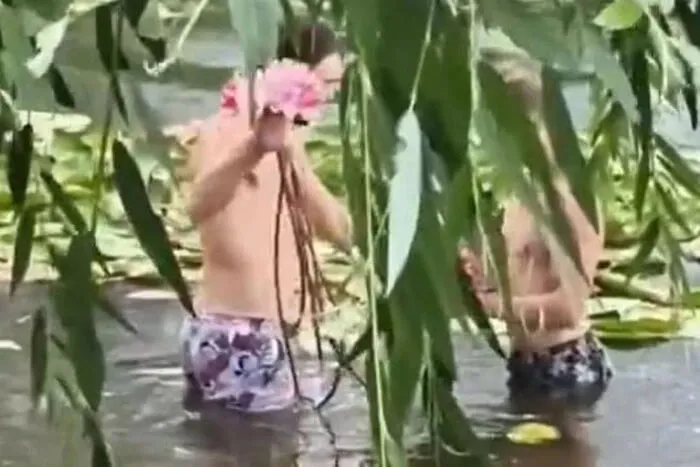 В Киеве молодые люди сорвали водяные лилии на озере Тельбин