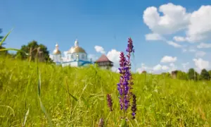 ВАКС стягнув у дохід держави понад 900 тис грн від продажу авто експосадовця Мін'юсту