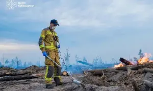 2 млн українців скористалися кешбеком на пальне