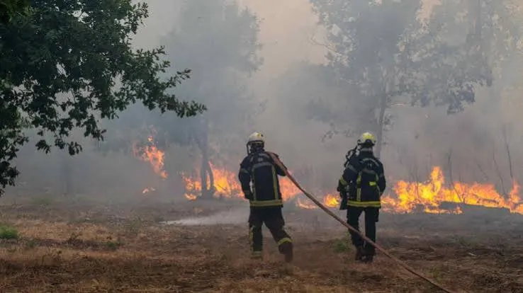 Video: Thousands of People Are Being Evacuated in France Due to Large-Scale Wildfires