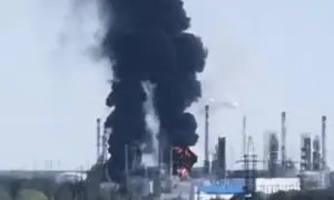 Бойцы ВСУ отбили 14 атак в двух областях и уничтожили «Аллигатор» оккупантов