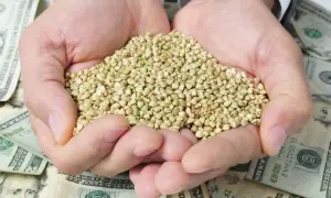 Зеленский уволил посла Украины в Казахстане