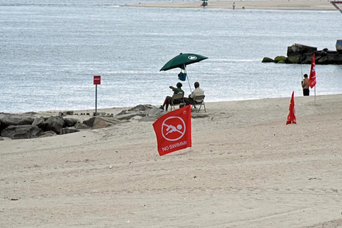 The number of sharks off the U.S. coast has risen sharply; scientists have identified the cause