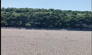 Чоловік потонув під Києвом, намагаючись переплисти озеро