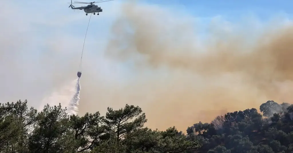 Видео: Крит уже вторые сутки охвачен масштабными лесными пожарами