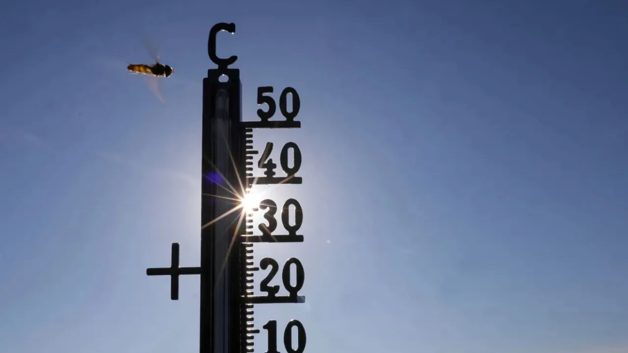 In Germany, nearly 10,000 people have died due to the heat since the beginning of the year