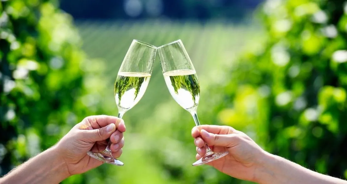 August 4, 2026 — Champagne’s Birthday: History and Interesting Facts