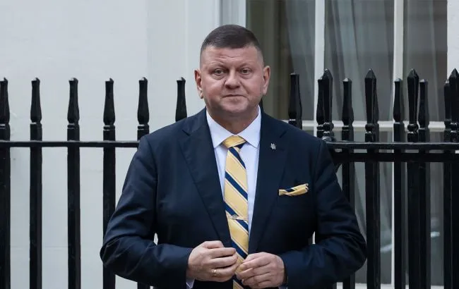 В МИД прокомментировали резкие высказывания Залужного о вступлении Украины в НАТО
