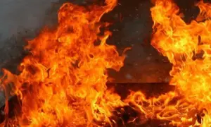 Видео: В Ростове задержали продавца бензина из Мелитополя после пожара, уничтожившего более 20 автомобилей