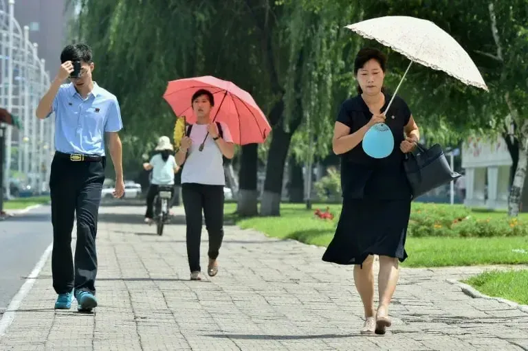 North Korea has called on people to beat the heat with dog meat soup