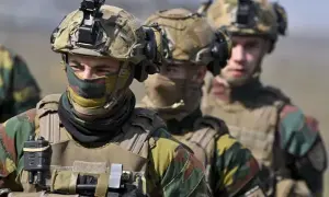 Ученые обнаружили новый вид кошек: в чем их особенность (фото)