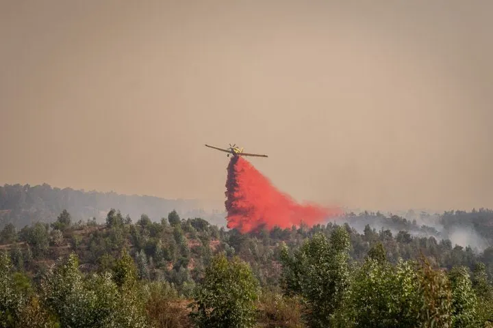 В Іспанії спалахнули три масштабні лісові пожежі, сотні людей евакуювали