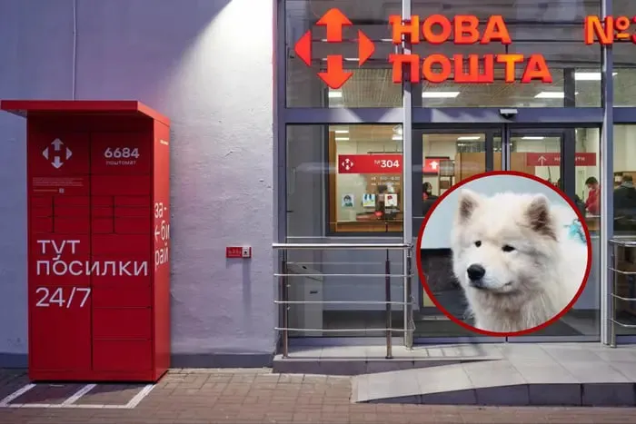 «Новая почта» пережила самый серьезный репутационный кризис — генеральный директор