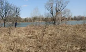 Місцеві вибори: «Слуга народу» лідирує в усіх облрадах та райрадах
